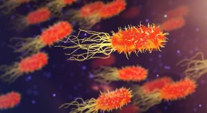 Publicado el último informe científico europeo sobre el consumo de agentes antimicrobianos y la aparición de resistencias en bacterias